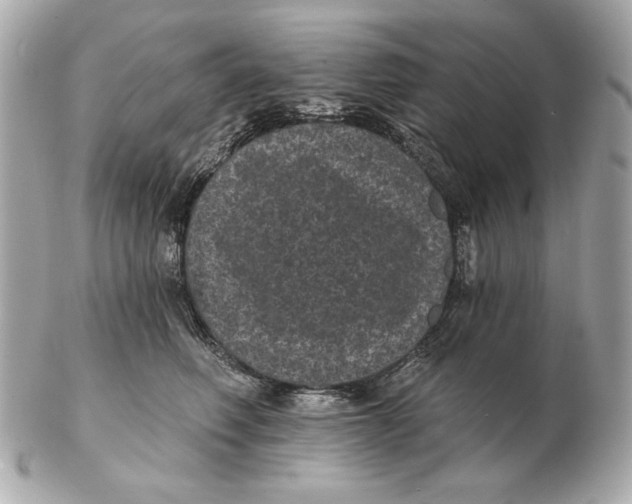 X0000102460614200808291543