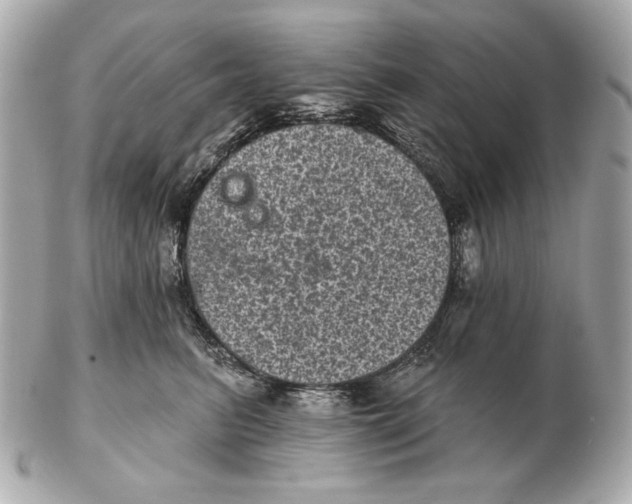 X0000102460615200808291543