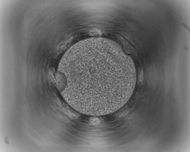 X0000102460616200808291543