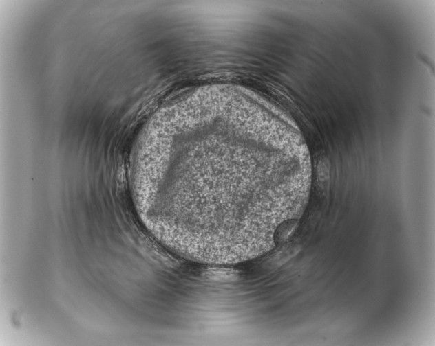 X0000102460617200808291543
