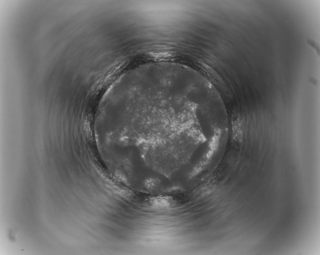 X0000102460618200808291543