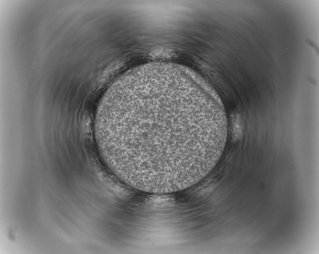 X0000102460619200808291543