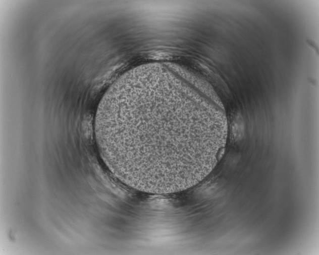 X0000102460620200808291543