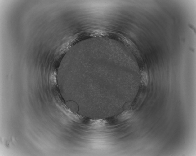 X0000102460621200808291543