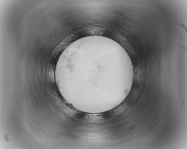 X0000102460622200808291543