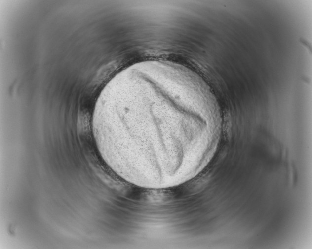 X0000102460623200808291543
