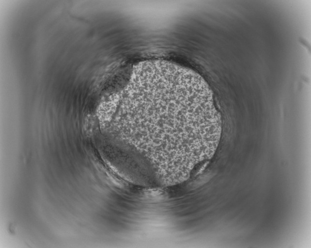 X0000102460624200808291543