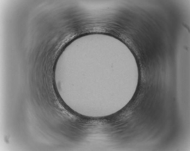 X0000102460625200808291543