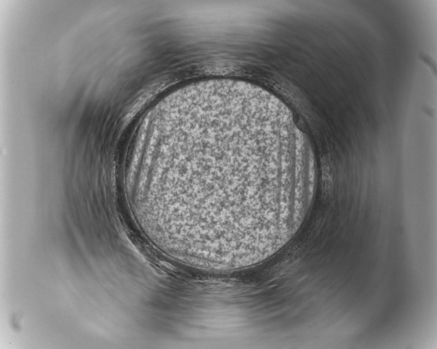 X0000102460626200808291543