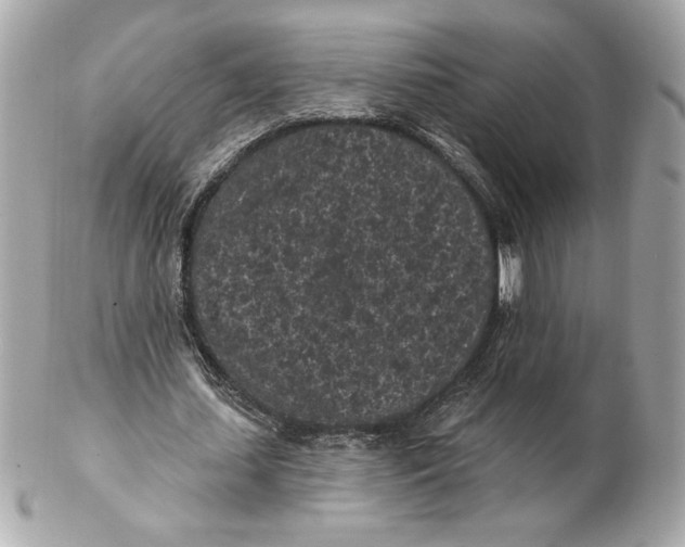 X0000102460627200808291543