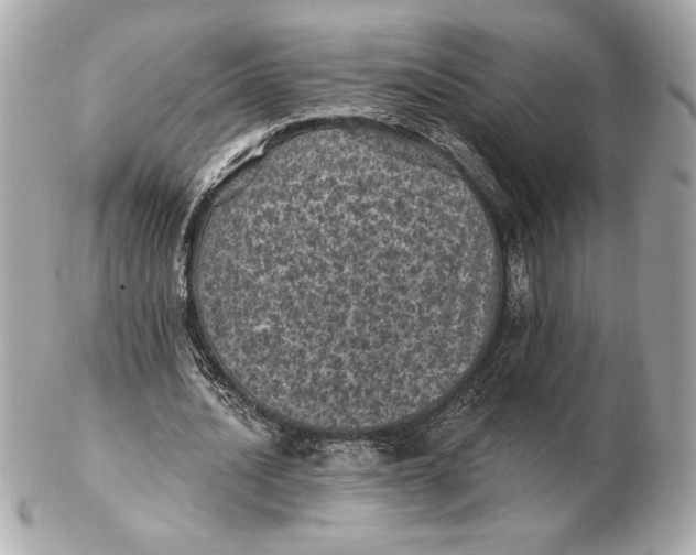 X0000102460628200808291543