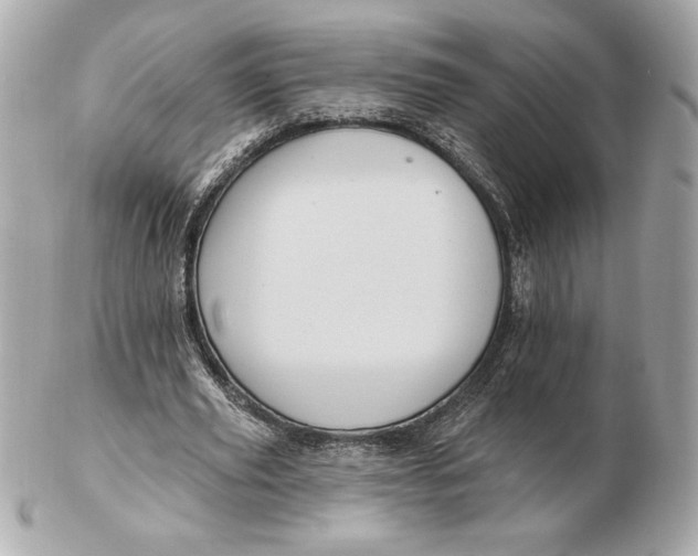 X0000102460629200808291543