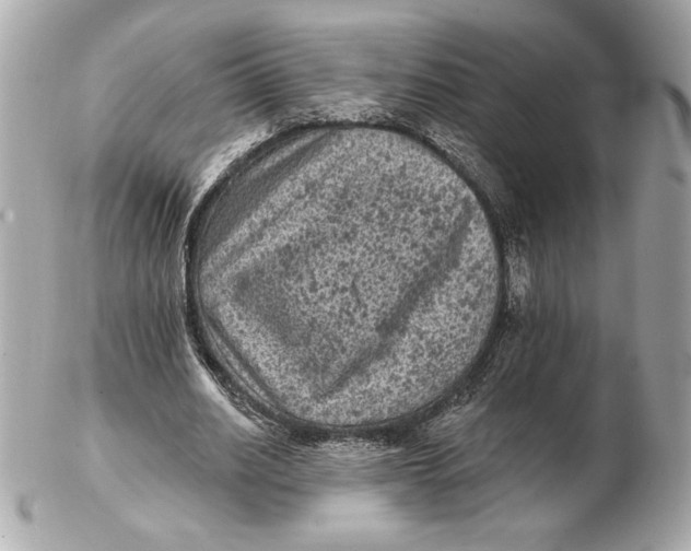 X0000102460630200808291543