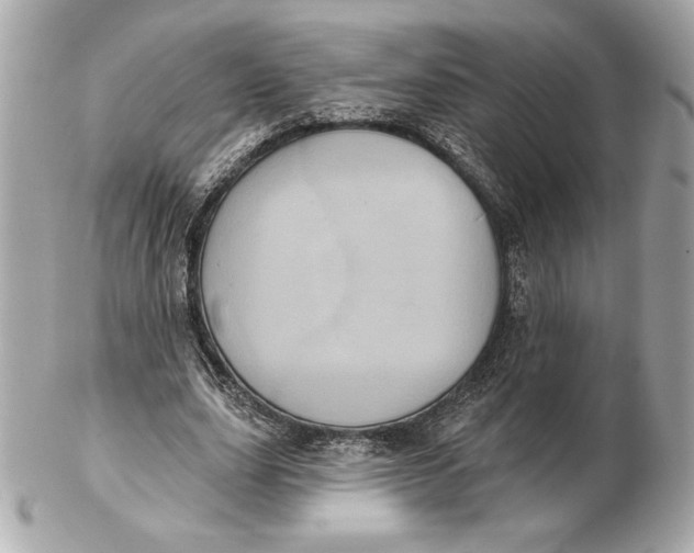 X0000102460631200808291543