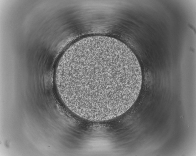 X0000102460632200808291543
