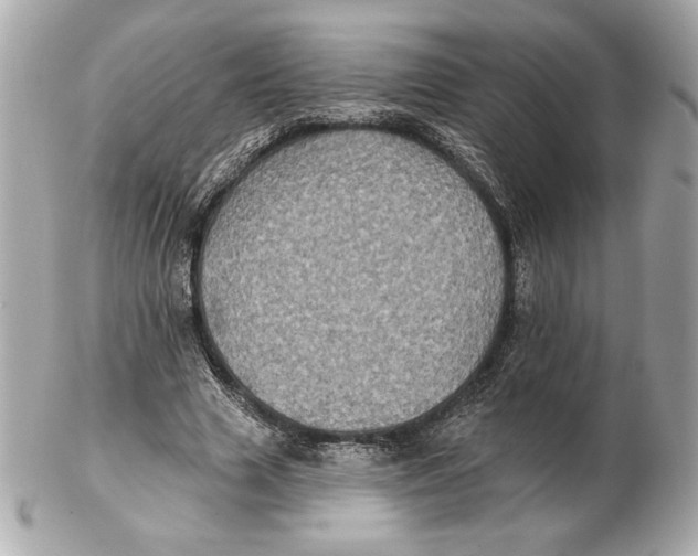X0000102460633200808291543
