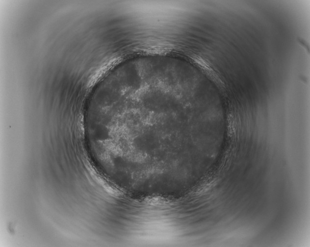 X0000102460634200808291543