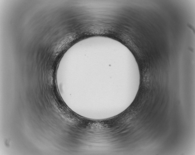 X0000102460635200808291543