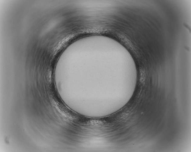 X0000102460636200808291543