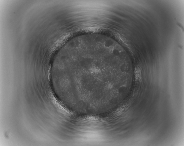 X0000102460637200808291543