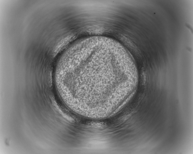 X0000102460638200808291543