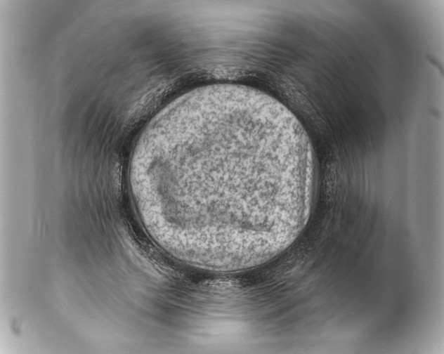 X0000102460639200808291543