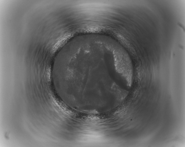 X0000102460640200808291543