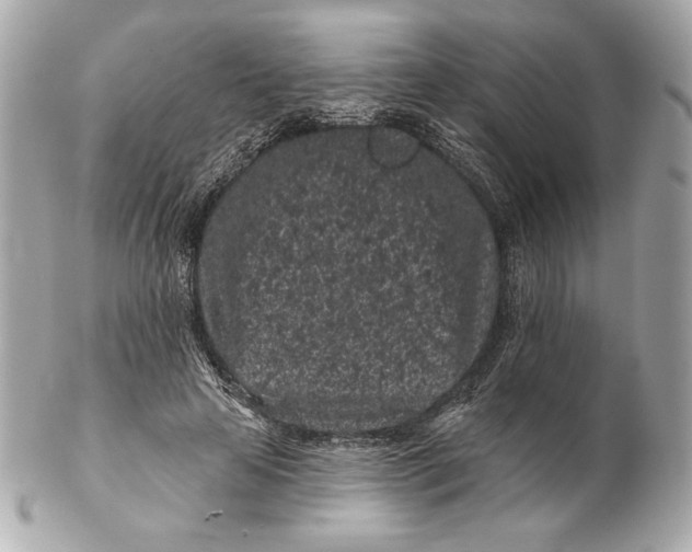 X0000102460641200808291543