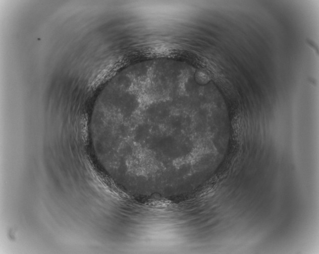 X0000102460642200808291543