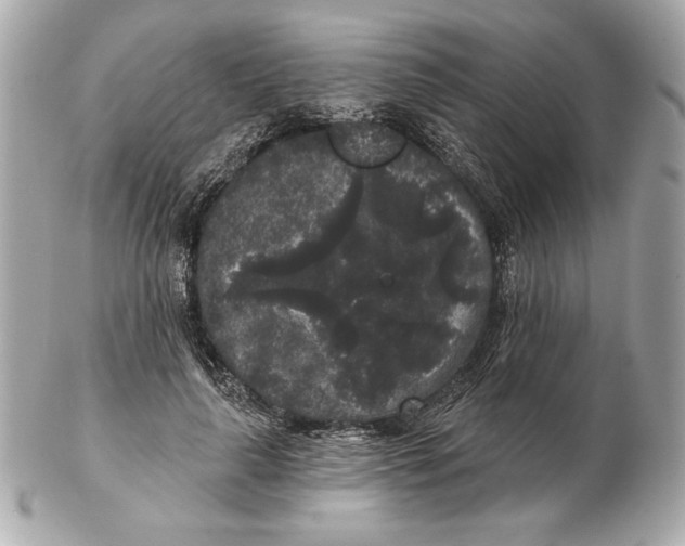X0000102460643200808291543