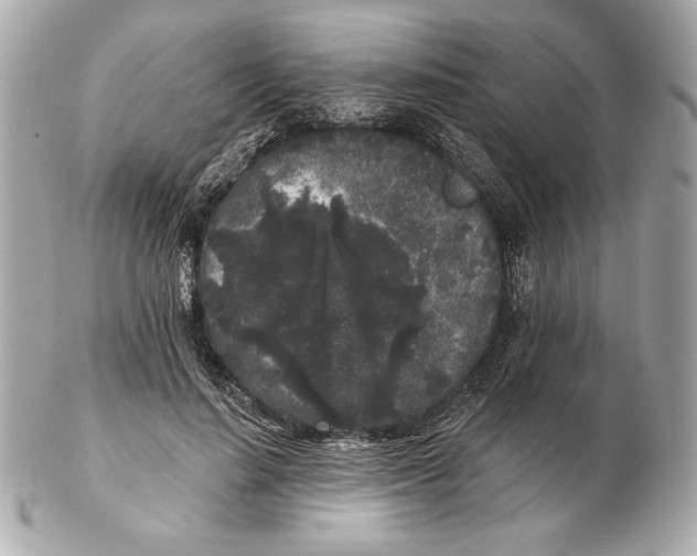 X0000102460644200808291543