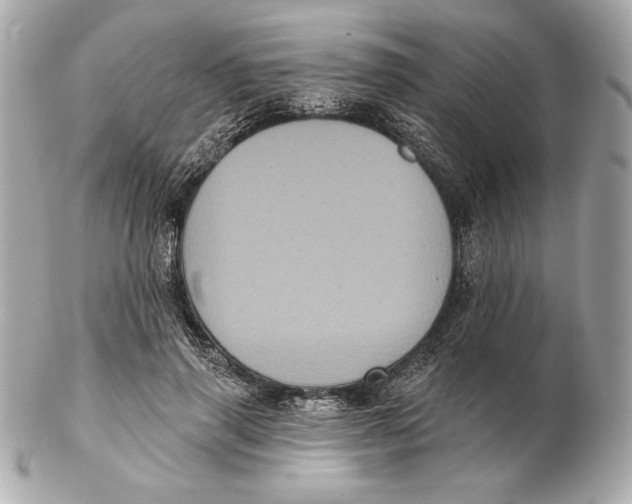 X0000102460645200808291543