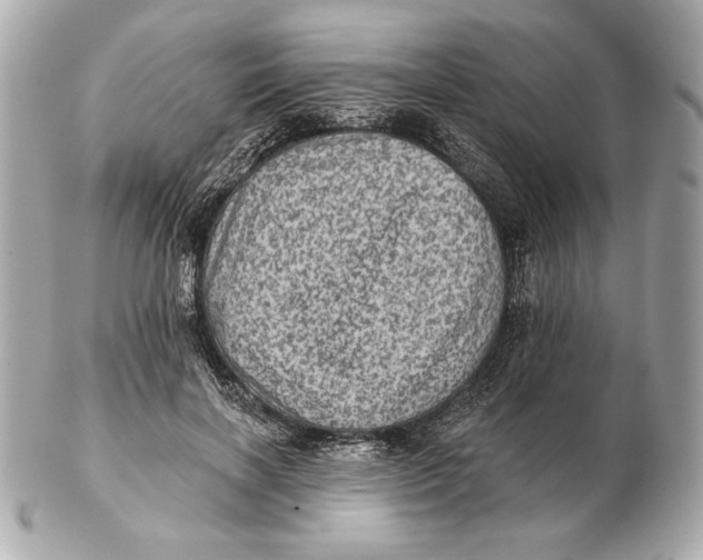 X0000102460646200808291543