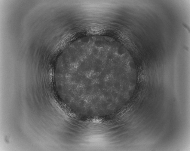 X0000102460647200808291543