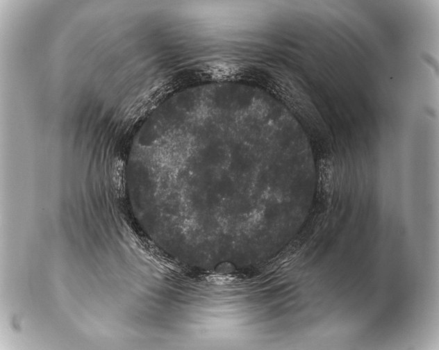 X0000102460650200808291543