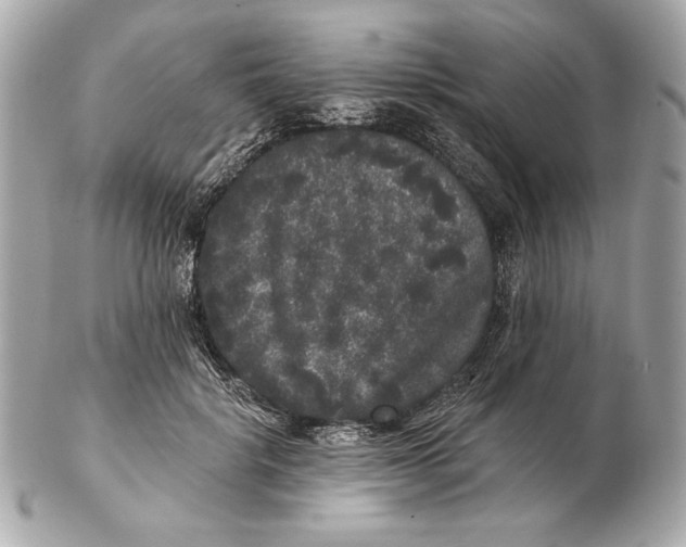 X0000102460652200808291543