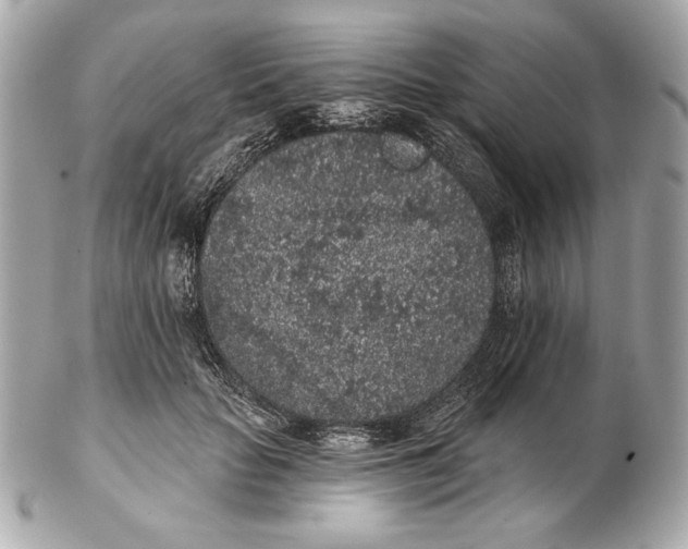 X0000102460653200808291543