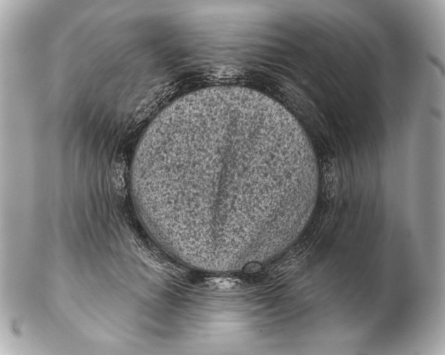 X0000102460654200808291543