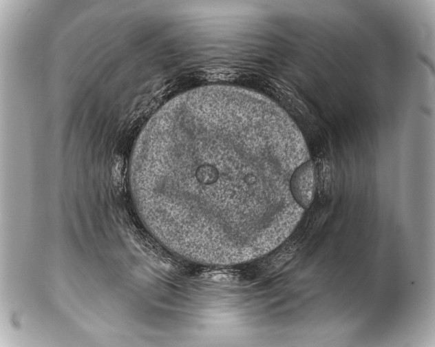 X0000102460655200808291543