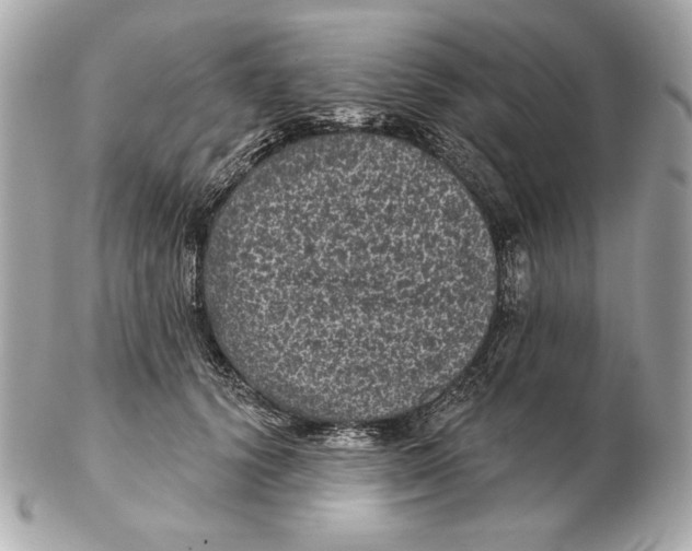 X0000102460656200808291543
