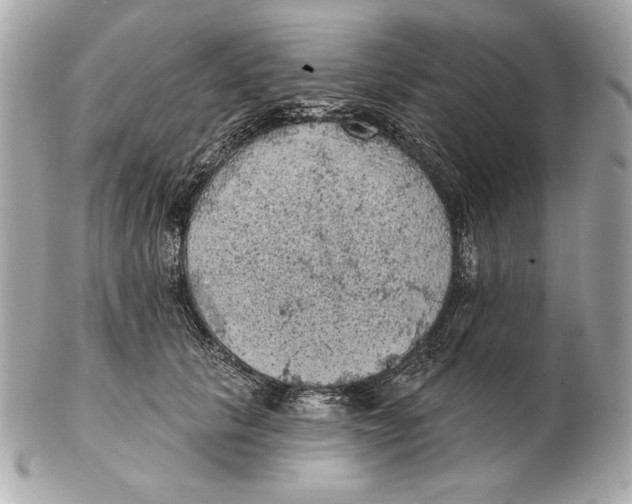 X0000102460657200808291543