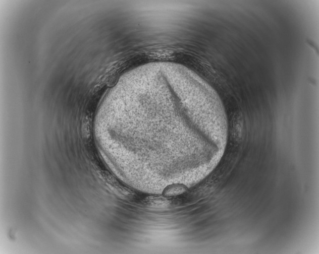 X0000102460658200808291543
