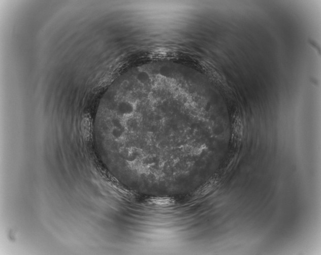 X0000102460659200808291543