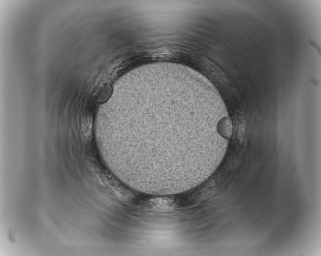 X0000102460660200808291543