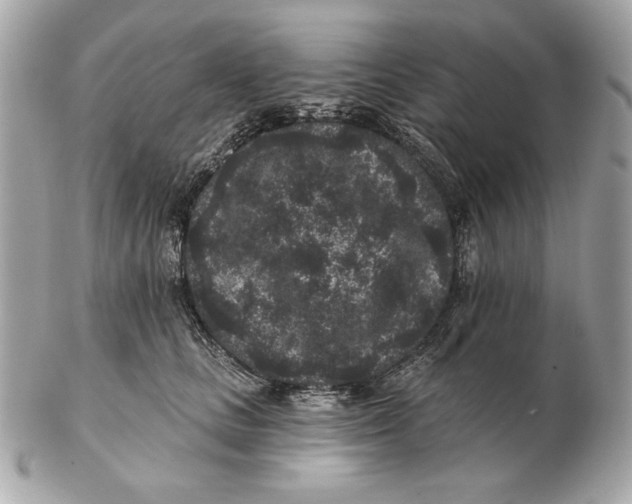 X0000102460661200808291543