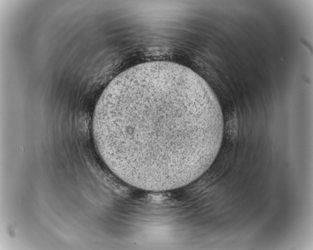 X0000102460662200808291543