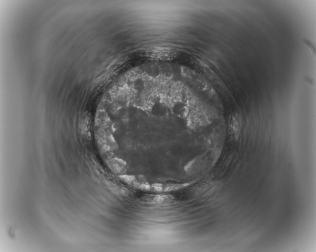 X0000102460663200808291543