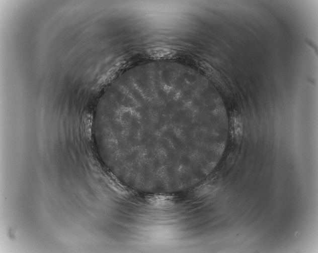 X0000102460664200808291543