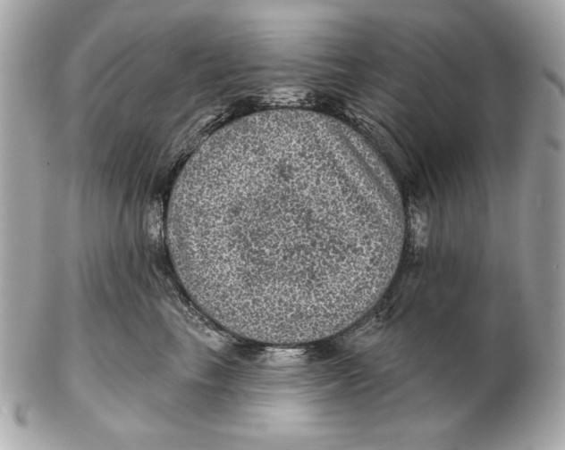 X0000102460665200808291543