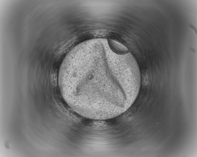 X0000102460666200808291543